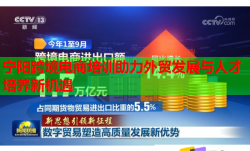 宁阳跨境电商培训助力外贸发展与人才培养新机遇