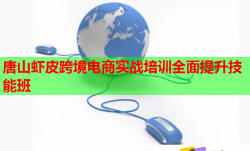 唐山虾皮跨境电商实战培训全面提升技能班