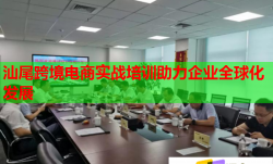 汕尾跨境电商实战培训助力企业全球化发展