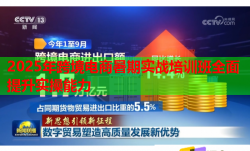 2025年跨境电商暑期实战培训班全面提升实操能力
