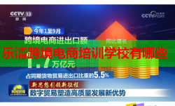 乐清跨境电商培训学校有哪些