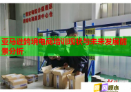 亚马逊跨境电商培训现状与未来发展前景分析