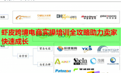 虾皮跨境电商实操培训全攻略助力卖家快速成长