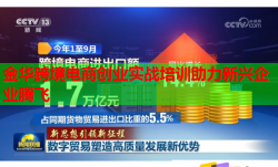 金华跨境电商创业实战培训助力新兴企业腾飞