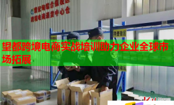 望都跨境电商实战培训助力企业全球市场拓展