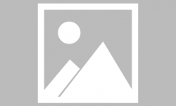 信宜跨境电商培训助力企业转型与乡村振兴发展