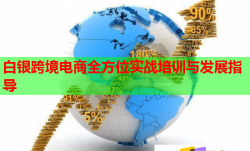 白银跨境电商全方位实战培训与发展指导