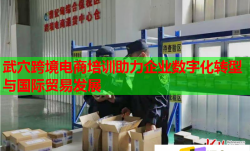 武穴跨境电商培训助力企业数字化转型与国际贸易发展