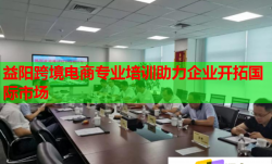益阳跨境电商专业培训助力企业开拓国际市场