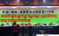 湖南跨境电商技术培训助力企业数字化转型与国际市场拓展