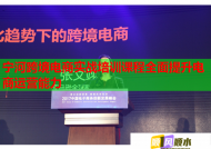 宁河跨境电商实战培训课程全面提升电商运营能力
