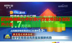 跨境电商助力农村振兴技能培训全面提升计划