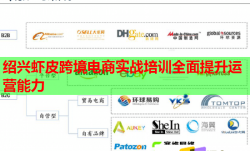 绍兴虾皮跨境电商实战培训全面提升运营能力
