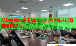 MD跨境电商实战培训全方位提升运营与营销能力