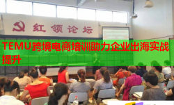 TEMU跨境电商培训助力企业出海实战提升