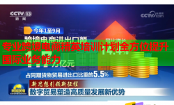 专业跨境电商精英培训计划全方位提升国际业务能力