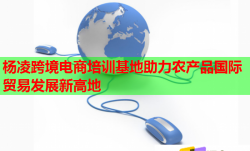 杨凌跨境电商培训基地助力农产品国际贸易发展新高地