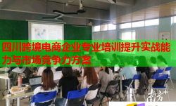 四川跨境电商企业专业培训提升实战能力与市场竞争力方案