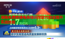 湖南免费跨境电商培训班助力创业提升实战技能
