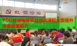 POD跨境电商实战培训课程全面提升卖家运营能力