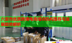 六安市优质跨境电商培训机构推荐与发展趋势解析