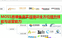MOSS跨境电商实战培训全方位提升技能与运营能力