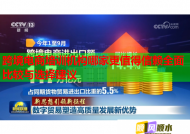 跨境电商培训机构哪家更值得信赖全面比较与选择建议