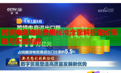 跨境电商培训费用标准全面解析定价策略与实施指南