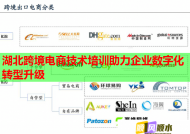 湖北跨境电商技术培训助力企业数字化转型升级