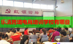 乐清跨境电商培训学校有哪些