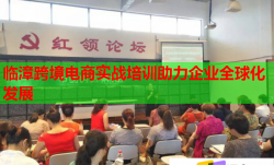 临漳跨境电商实战培训助力企业全球化发展