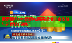 俄罗斯Ozon跨境电商实操培训全攻略与运营技巧解析