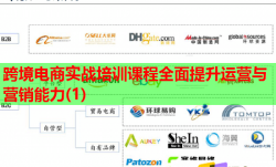 跨境电商实战培训课程全面提升运营与营销能力(1)