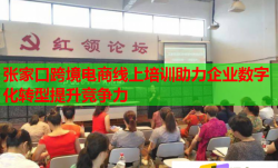 张家口跨境电商线上培训助力企业数字化转型提升竞争力