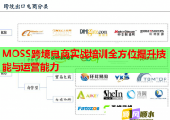 MOSS跨境电商实战培训全方位提升技能与运营能力