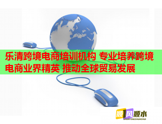 乐清跨境电商培训机构 专业培养跨境电商业界精英 推动全球贸易发展  第1张