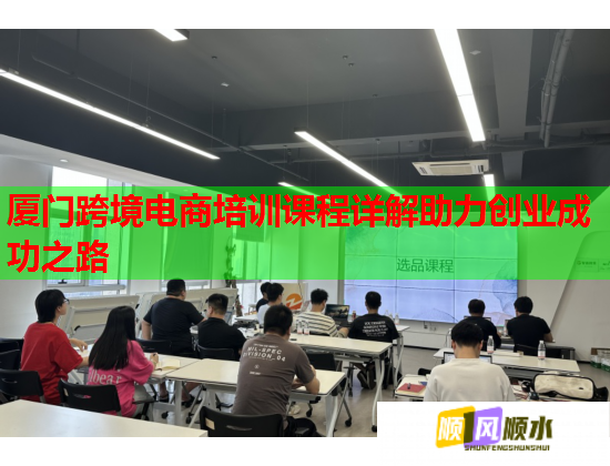 厦门跨境电商培训课程详解助力创业成功之路  第3张