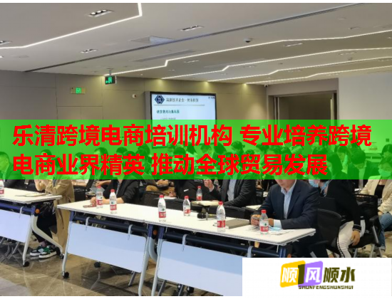 乐清跨境电商培训机构 专业培养跨境电商业界精英 推动全球贸易发展  第1张