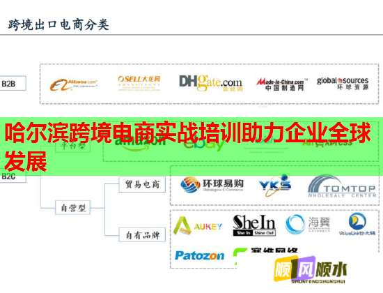 哈尔滨跨境电商实战培训助力企业全球发展  第1张