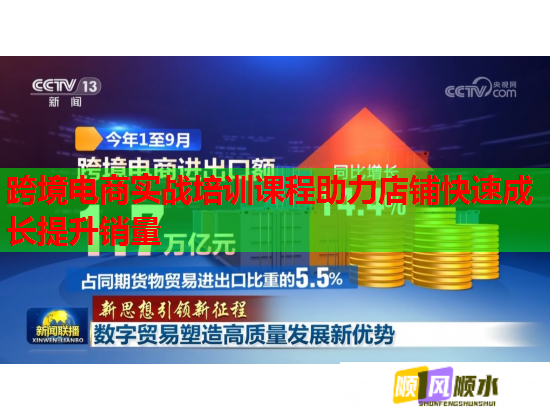 跨境电商实战培训课程助力店铺快速成长提升销量  第3张