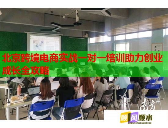 北京跨境电商实战一对一培训助力创业成长全攻略  第1张