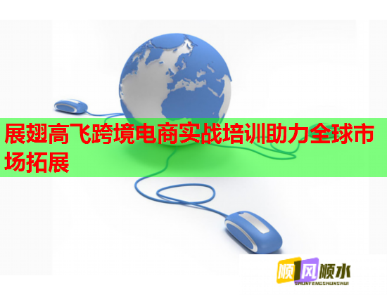 展翅高飞跨境电商实战培训助力全球市场拓展  第1张