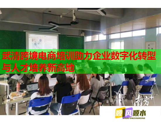 武清跨境电商培训助力企业数字化转型与人才培养新高地  第1张