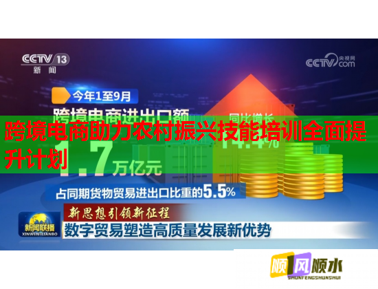 跨境电商助力农村振兴技能培训全面提升计划  第1张