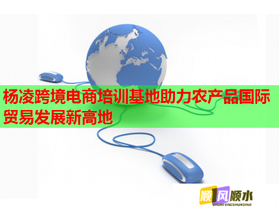 杨凌跨境电商培训基地助力农产品国际贸易发展新高地  第1张