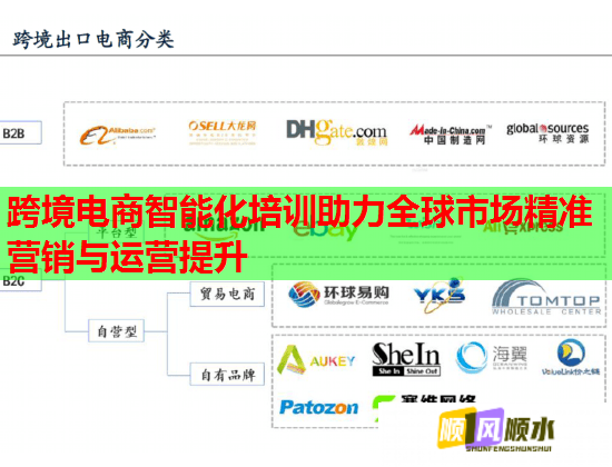 跨境电商智能化培训助力全球市场精准营销与运营提升  第2张