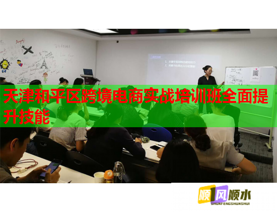 天津和平区跨境电商实战培训班全面提升技能  第1张
