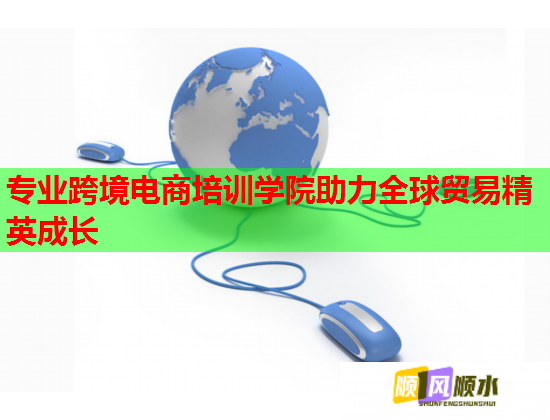 专业跨境电商培训学院助力全球贸易精英成长  第1张