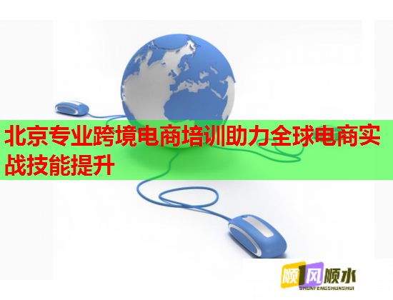 北京专业跨境电商培训助力全球电商实战技能提升  第1张
