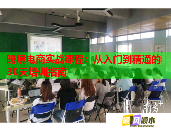 跨境电商实战课程：从入门到精通的30天培训指南  第1张
